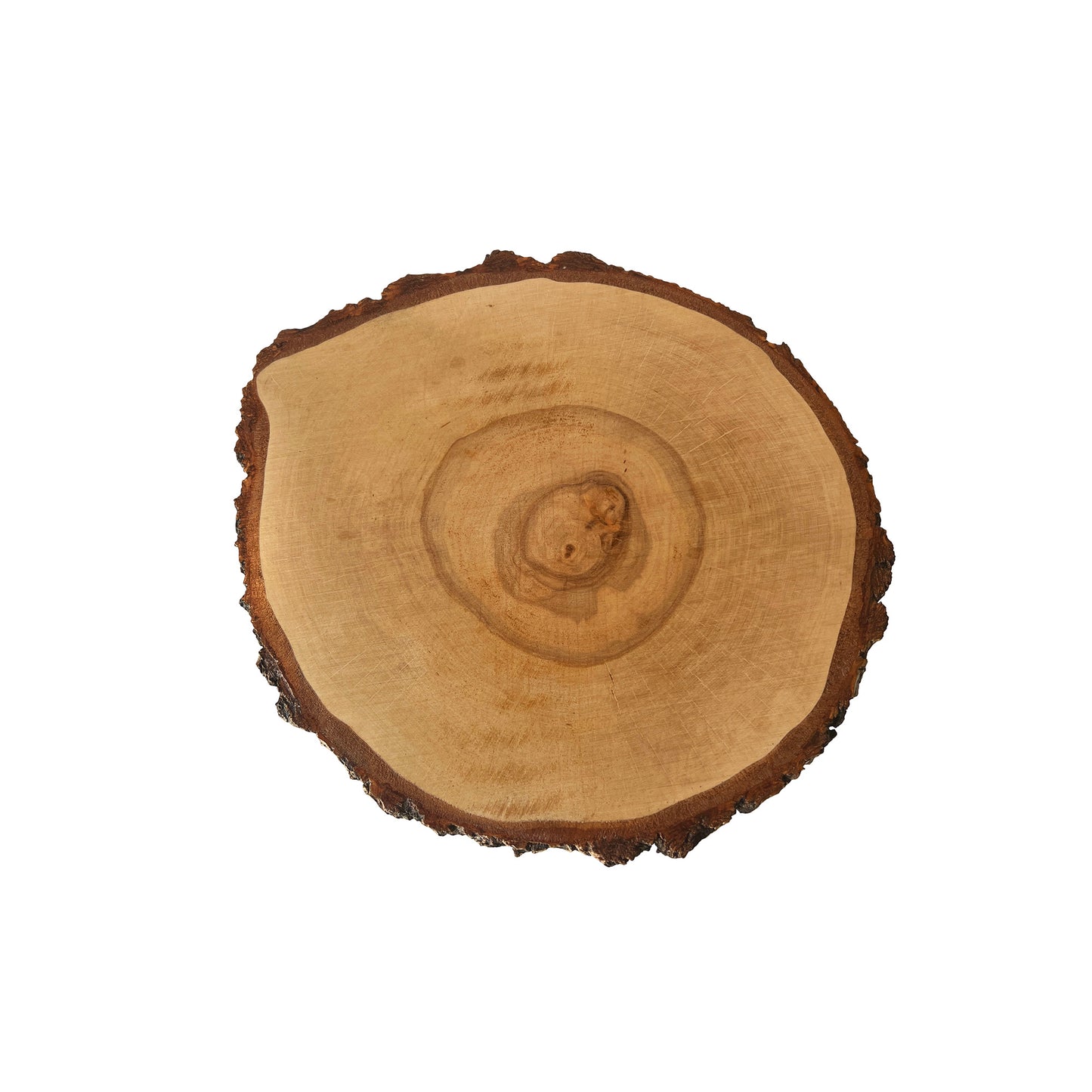 Round coffee table with natural birch bark