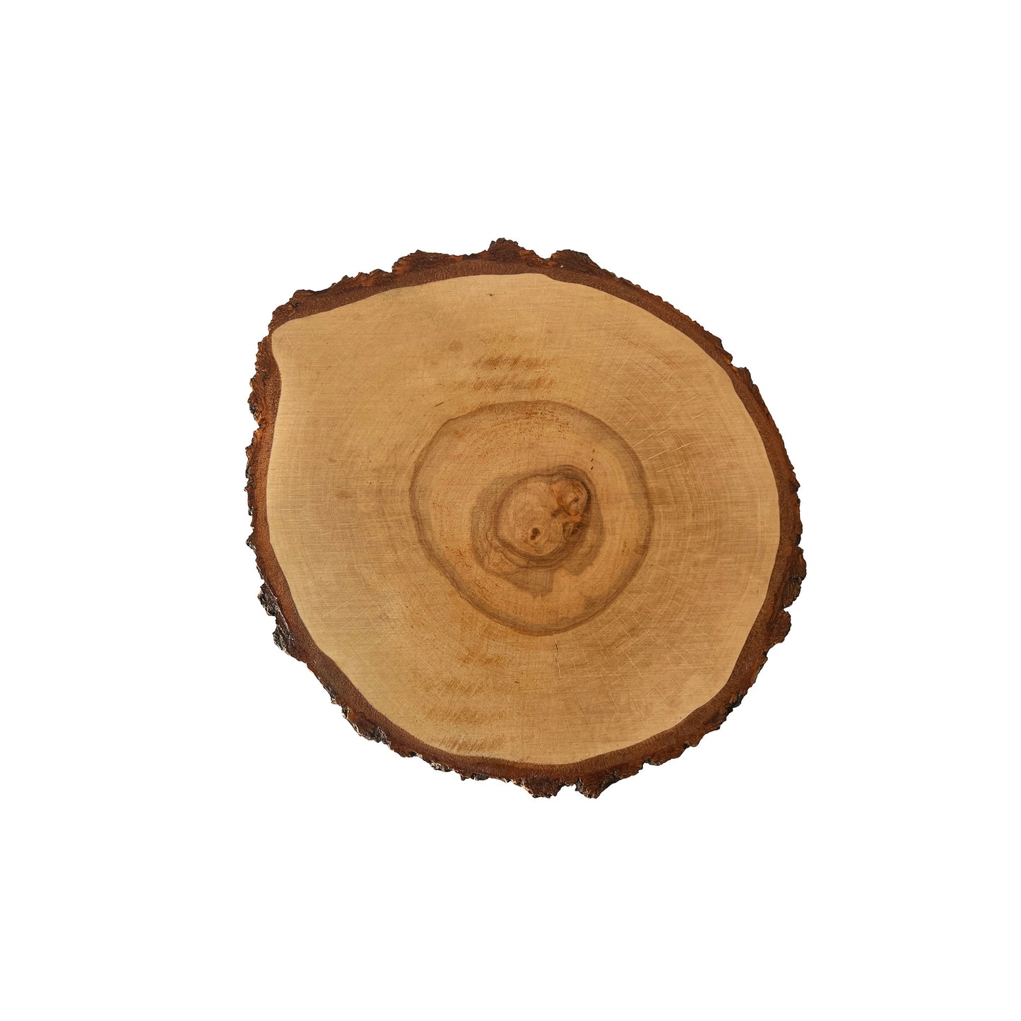 Round coffee table with natural birch bark
