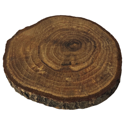 Wooden coaster, oak