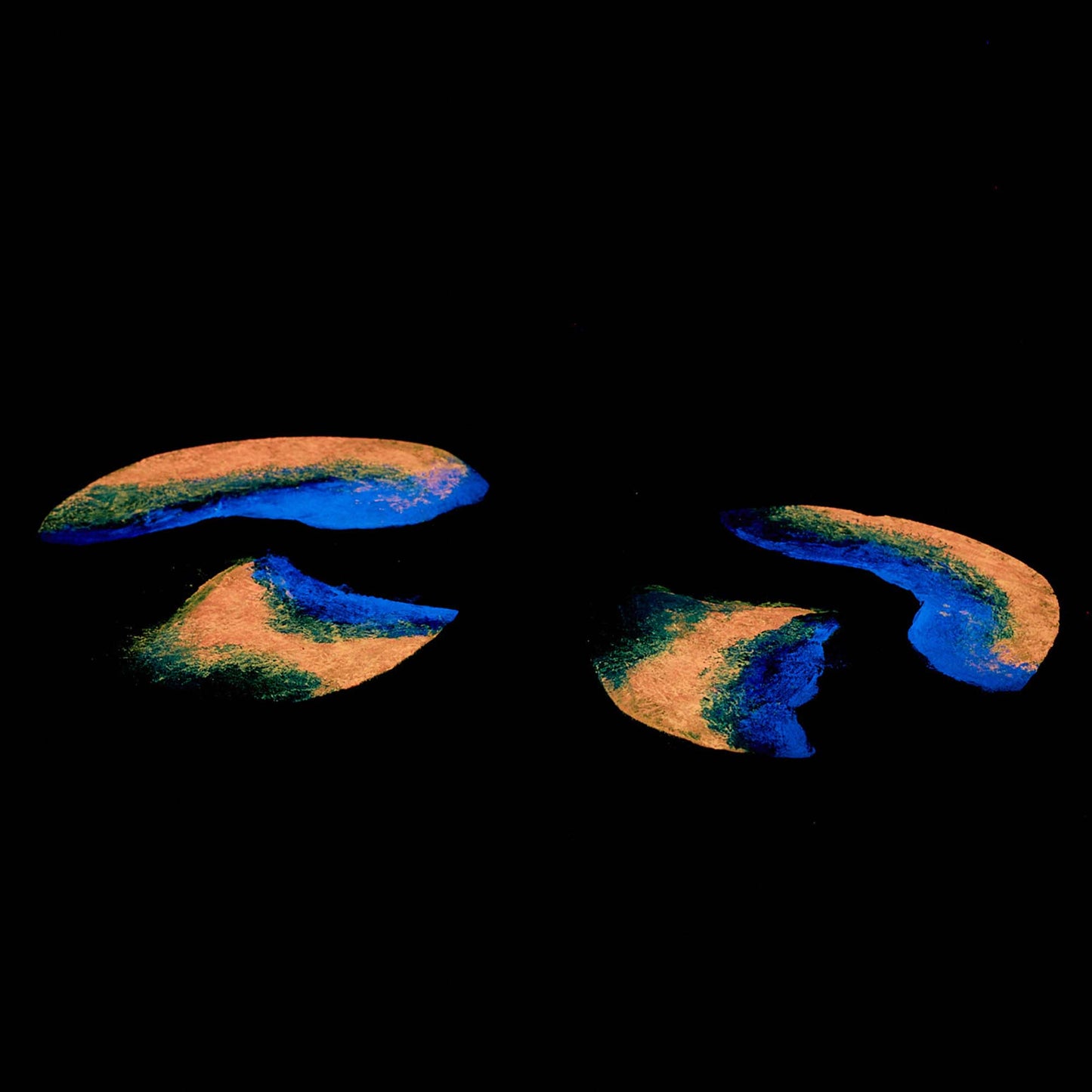 Wooden coaster, birch